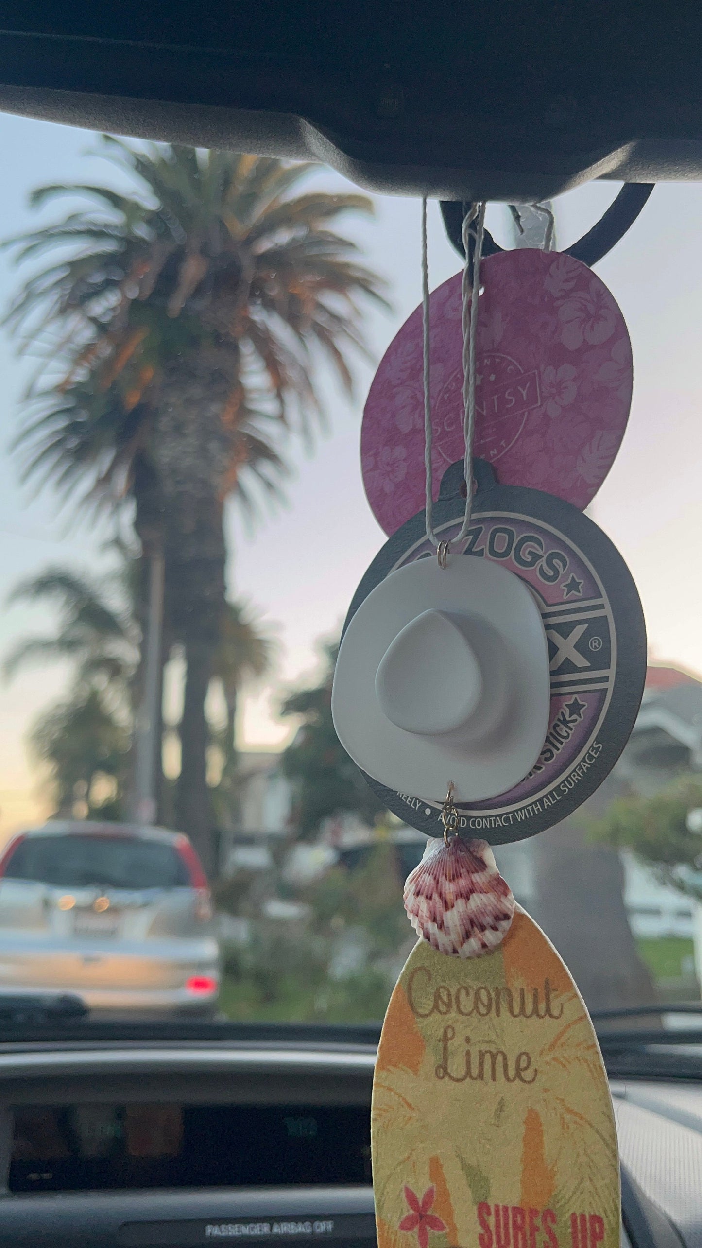 Coastal Cowgirl Charm