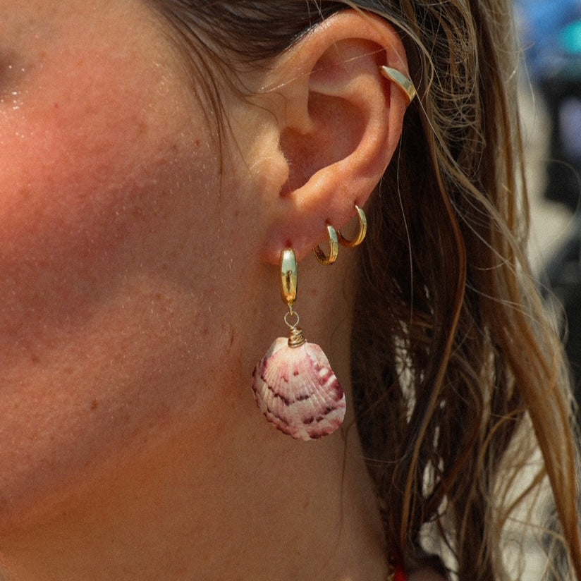 Seashell Earrings
