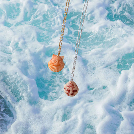 Ocean Breeze Shell Necklace