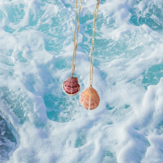 Shoreline Pearl Seashell Necklace